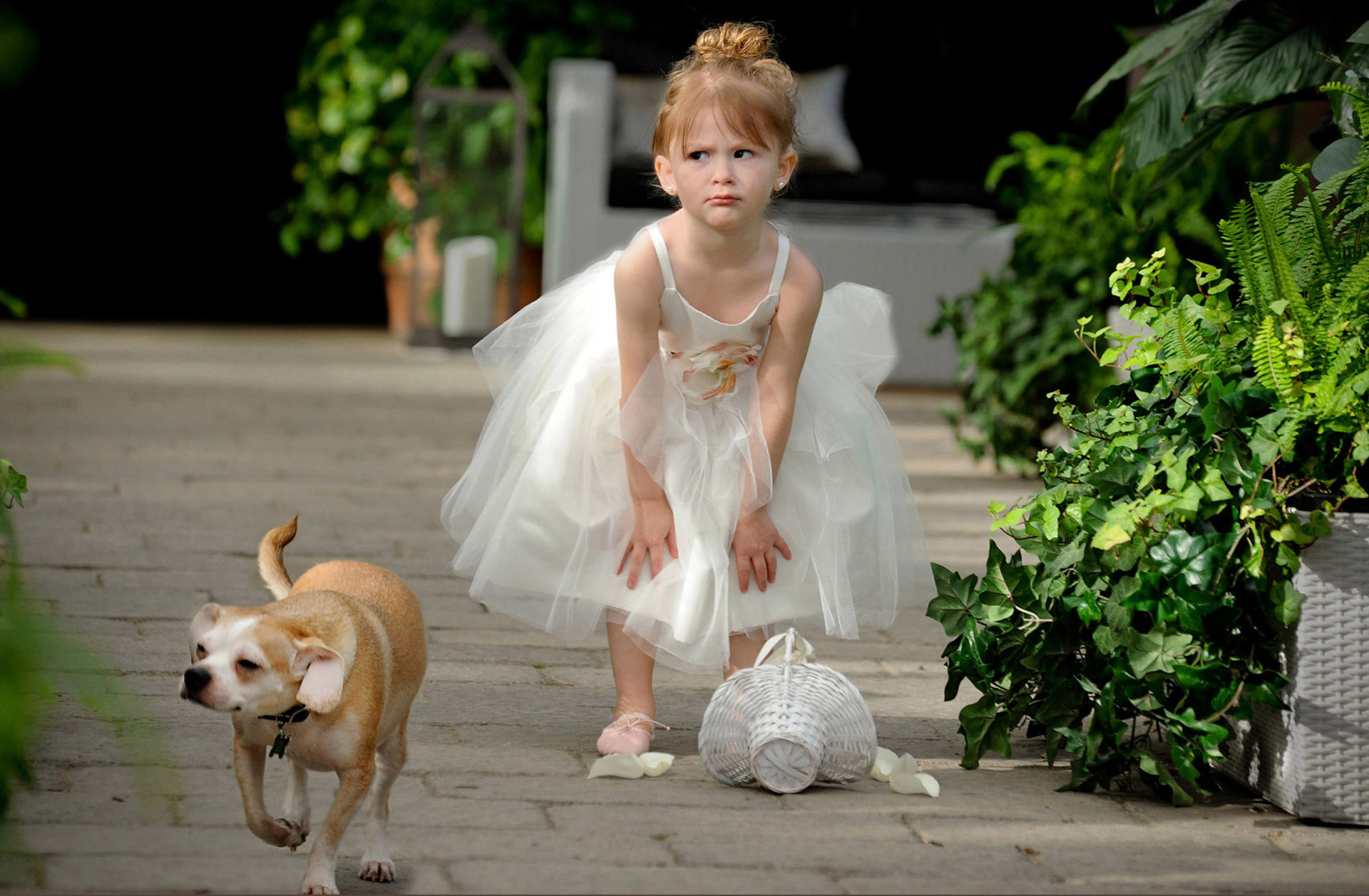 Marci Curtis – The Michigan Wedding Photojournalist