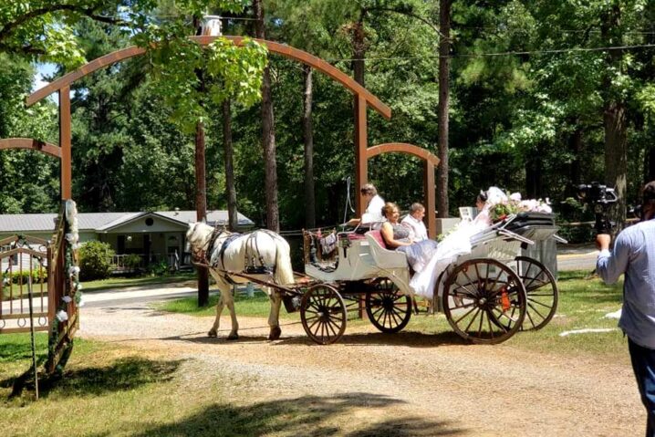 The Carriage Company