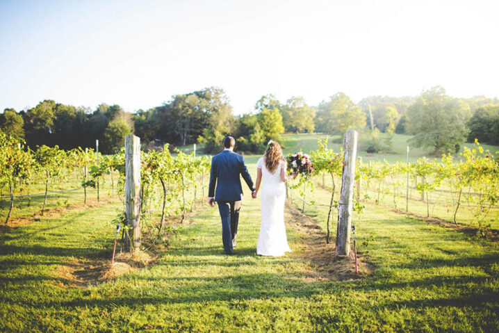 Sassafras Springs Vineyard