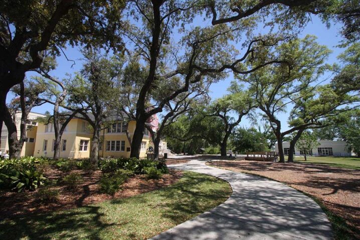 Lynn Meadows Discovery Center